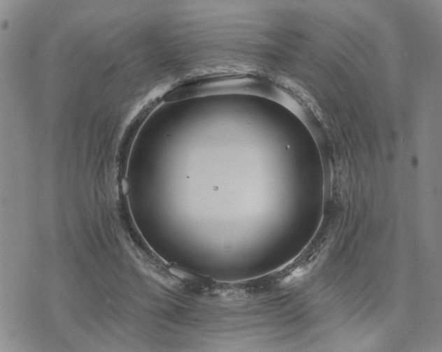 X0000073710395200608031245