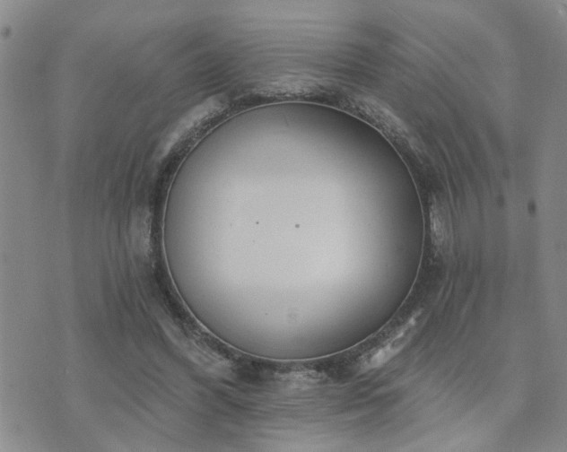 X0000073710396200608031245