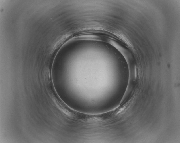 X0000073710397200608031245