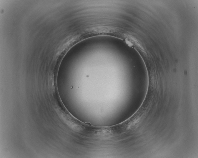 X0000073710398200608031245