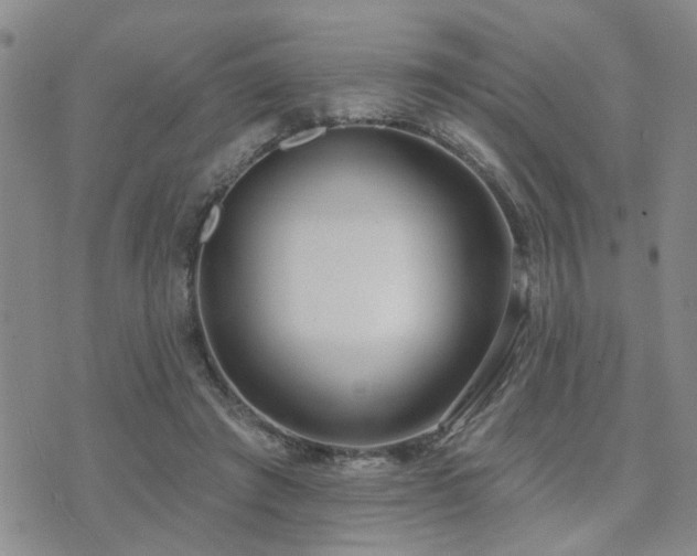 X0000073710401200608031245