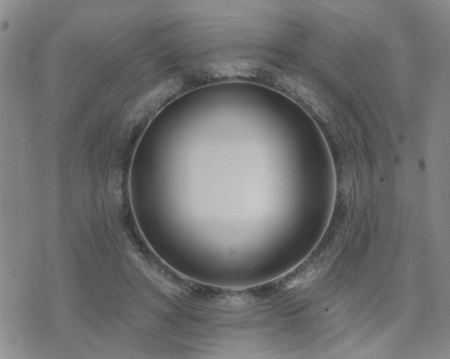 X0000073710402200608031245