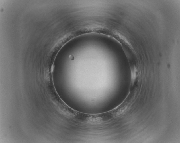 X0000073710403200608031245