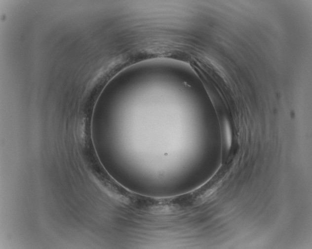 X0000073710404200608031245