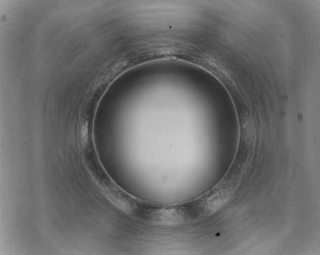 X0000073710406200608031244