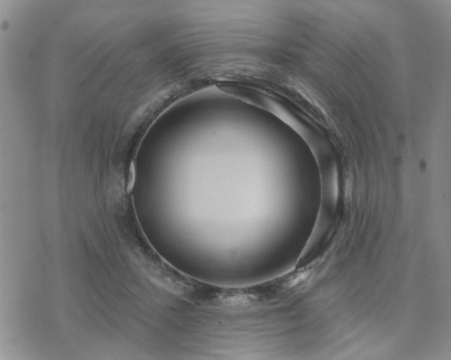 X0000073710407200608031244