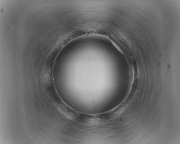 X0000073710408200608031244