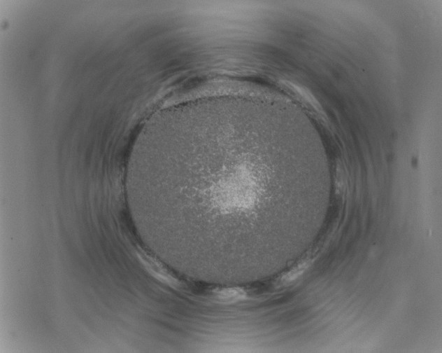 X0000073710409200608031244