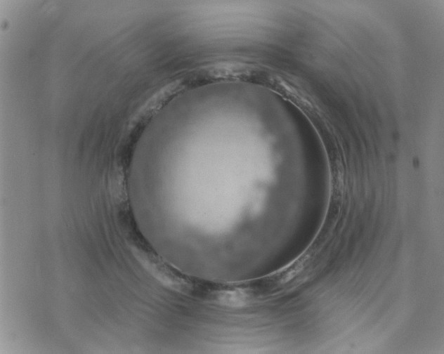 X0000073710411200608031244