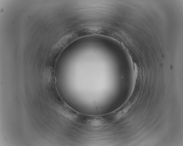 X0000073710412200608031244