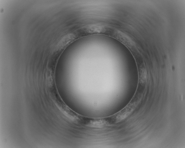 X0000073710414200608031244