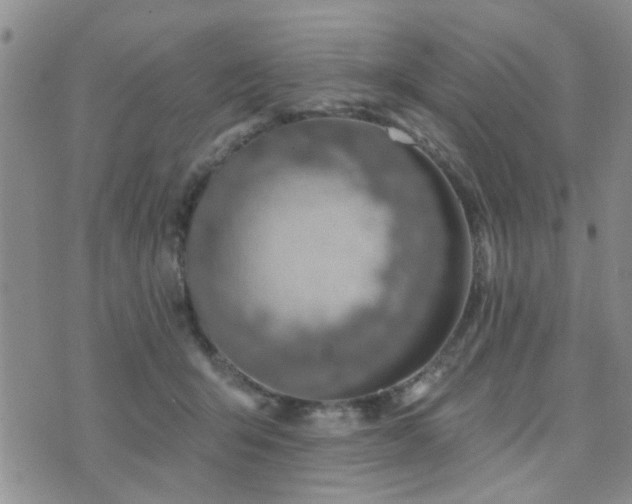 X0000073710415200608031244