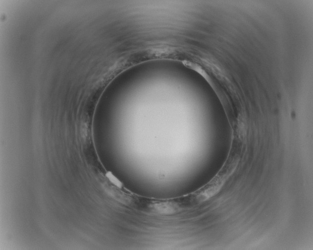 X0000073710417200608031244