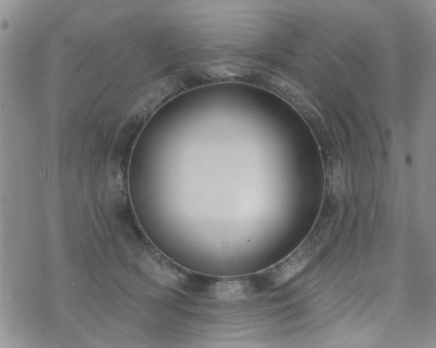 X0000073710418200608031244