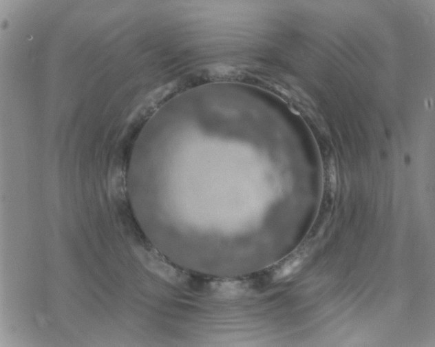 X0000073710419200608031244