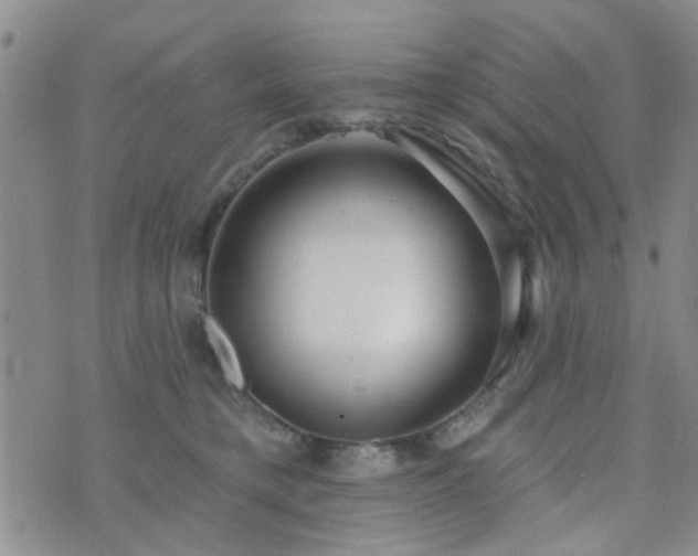 X0000073710421200608031244