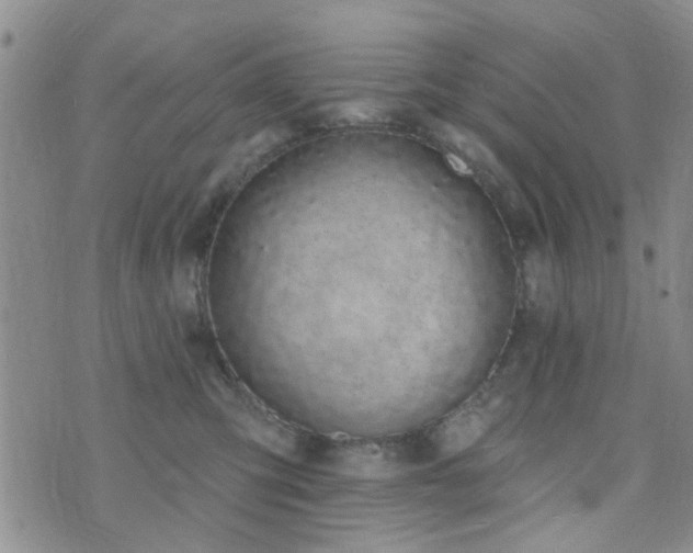 X0000073710423200608031244