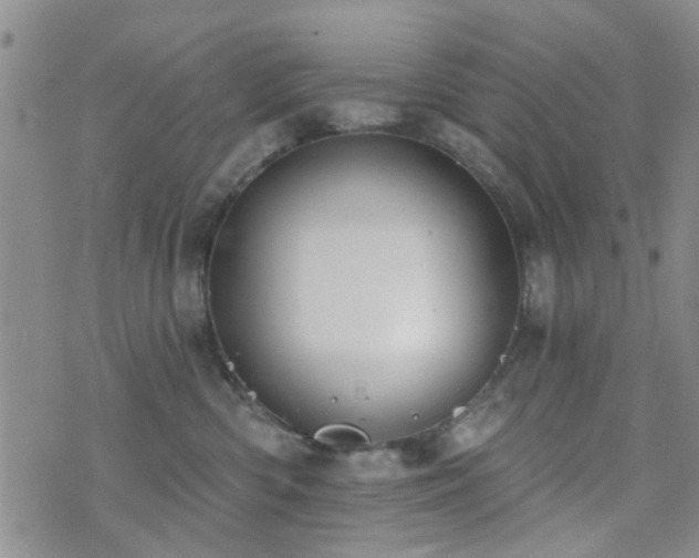 X0000073710426200608031244