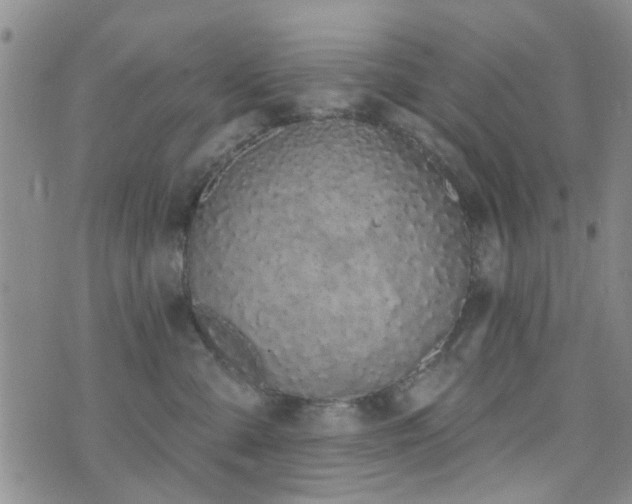 X0000073710427200608031244