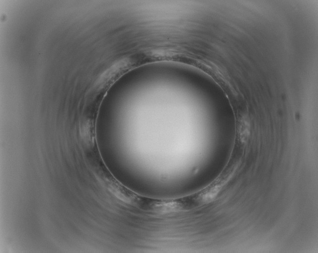 X0000073710428200608031244