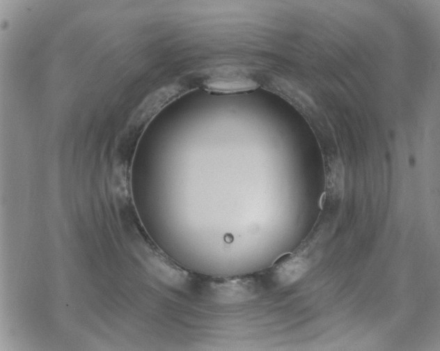 X0000073710430200608031244