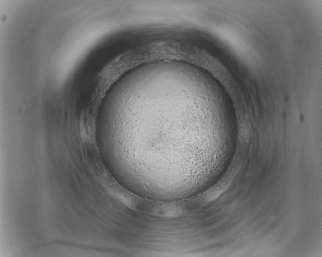 X0000073710431200608031244