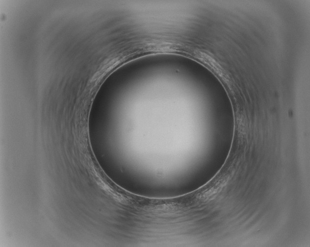 X0000073710433200608031243