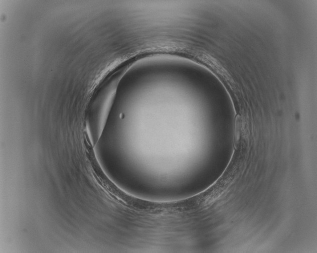 X0000073710434200608031243