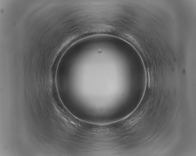 X0000073710435200608031243