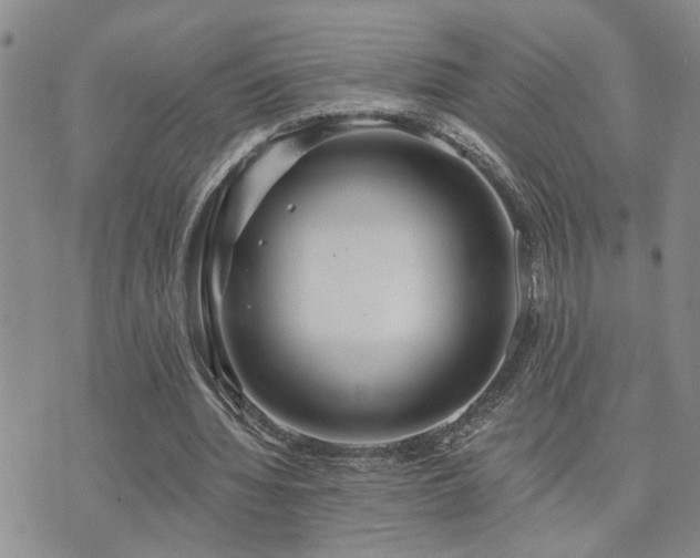 X0000073710436200608031243