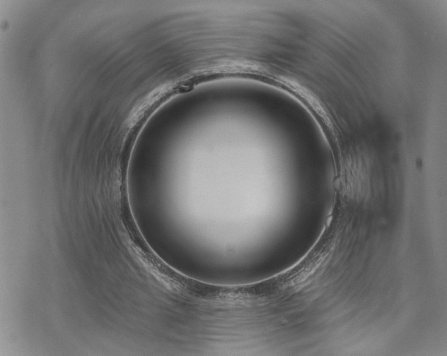 X0000073710437200608031243