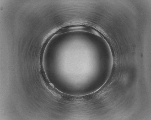 X0000073710438200608031243