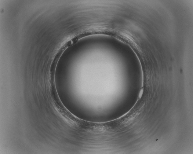 X0000073710439200608031243