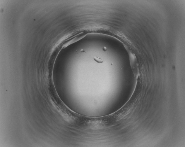 X0000073710440200608031243