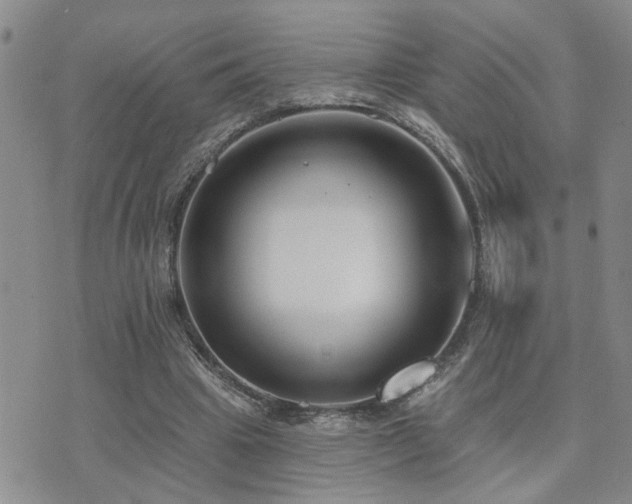 X0000073710441200608031243