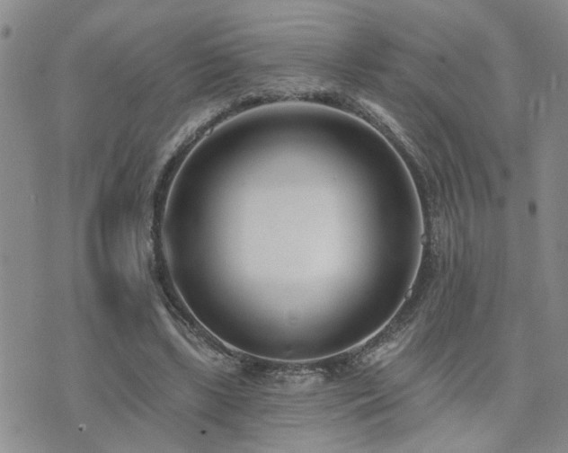 X0000073710443200608031243