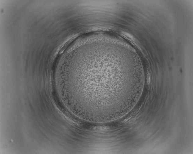 X0000073710444200608031243