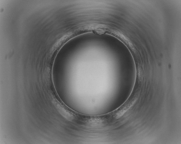 X0000073710445200608031243