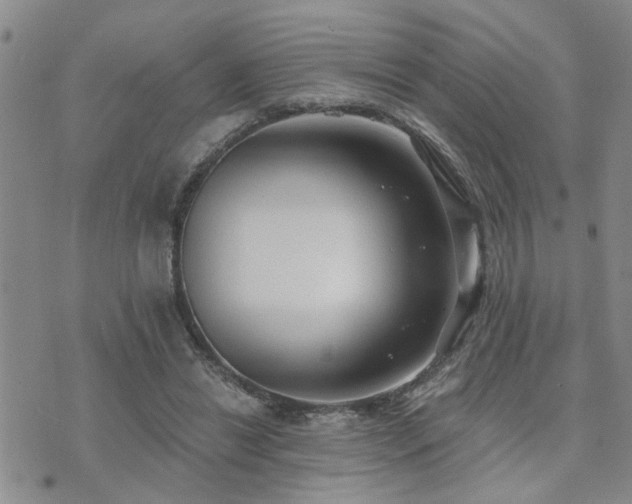 X0000073710446200608031243