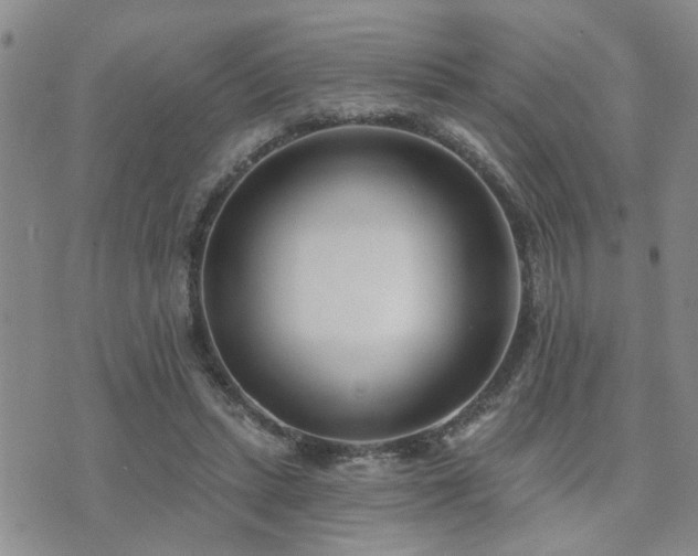 X0000073710447200608031244