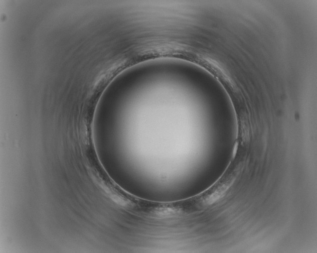 X0000073710453200608031244