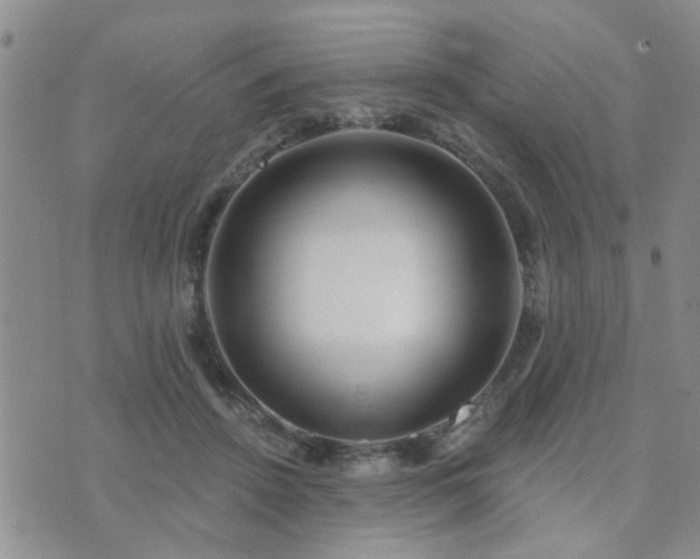 X0000073710456200608031244