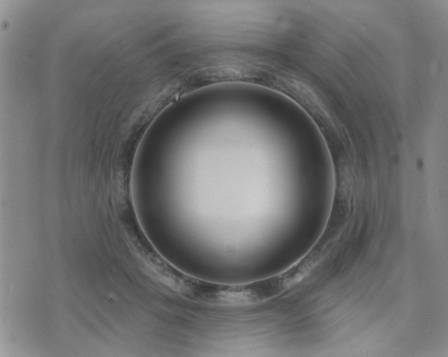 X0000073710457200608031244