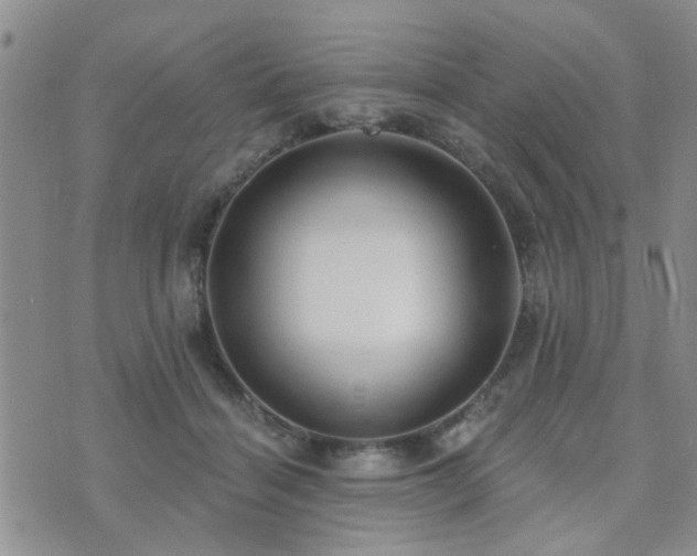 X0000073710460200608031244