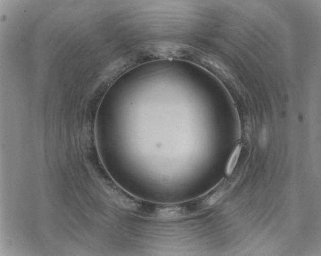 X0000073710461200608031244