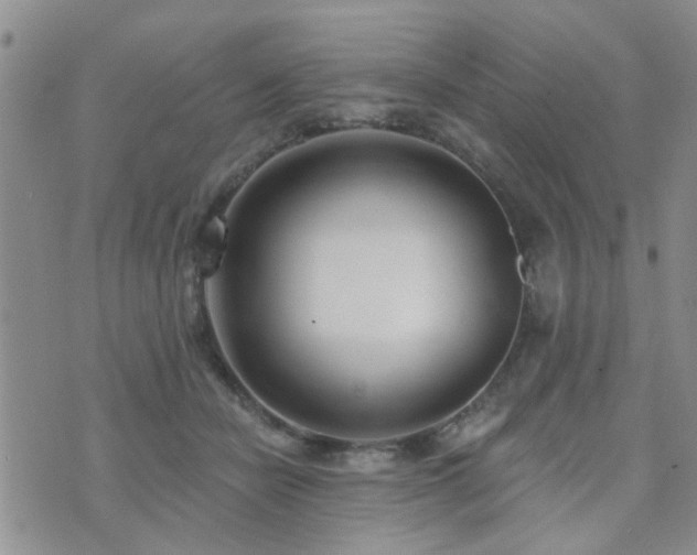 X0000073710462200608031244