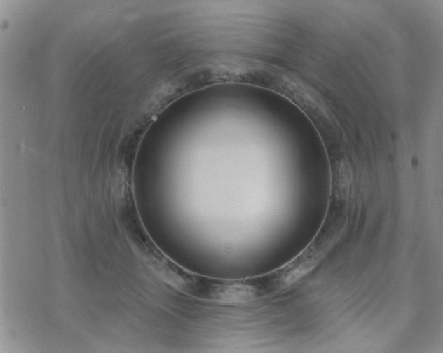 X0000073710463200608031244