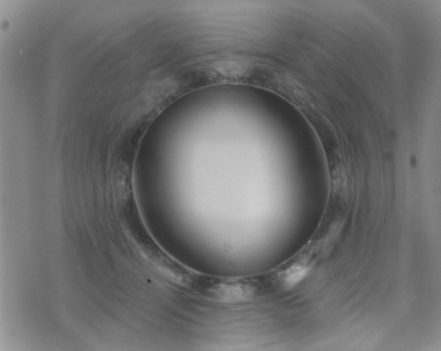 X0000073710464200608031244