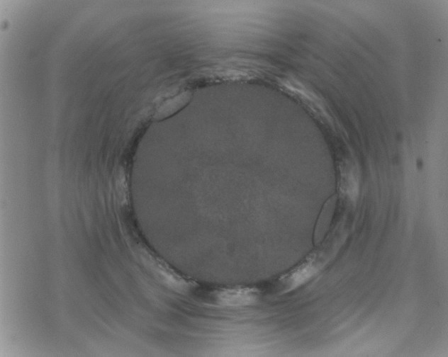 X0000073710465200608031244