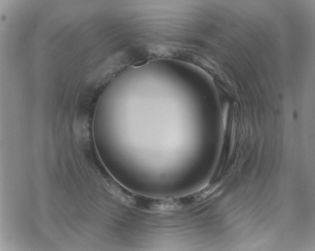 X0000073710466200608031244